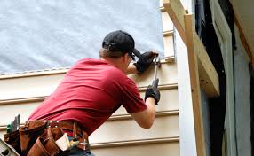 Best Custom Trim and Detailing for Siding  in Cynthiana, KY